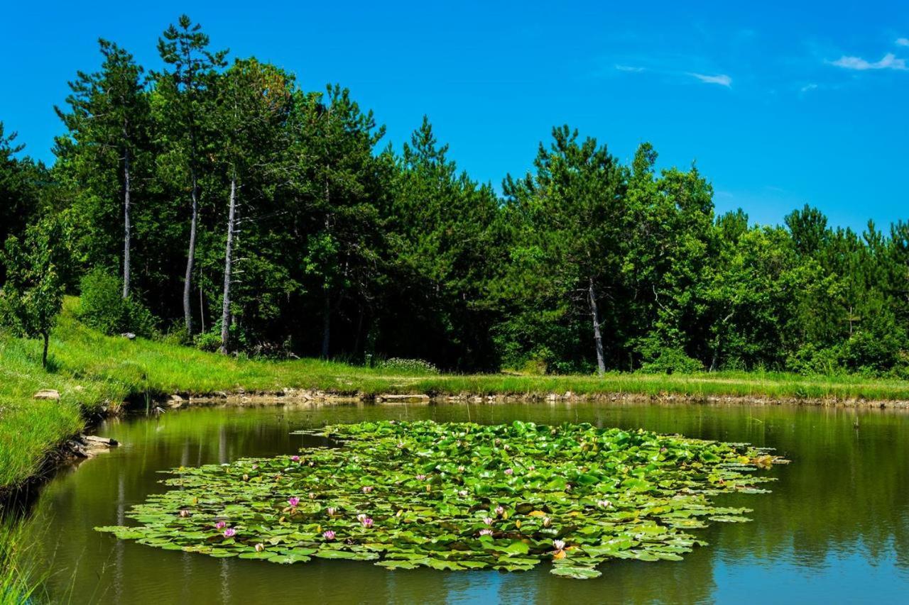 Pineta Villa Gračišče Bagian luar foto