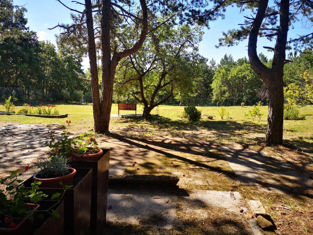 Pineta Villa Gračišče Bagian luar foto