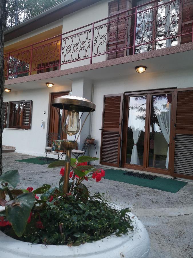 Pineta Villa Gračišče Bagian luar foto