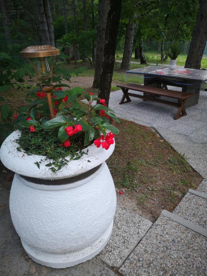 Pineta Villa Gračišče Bagian luar foto