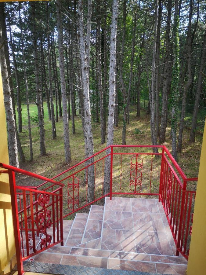 Pineta Villa Gračišče Bagian luar foto