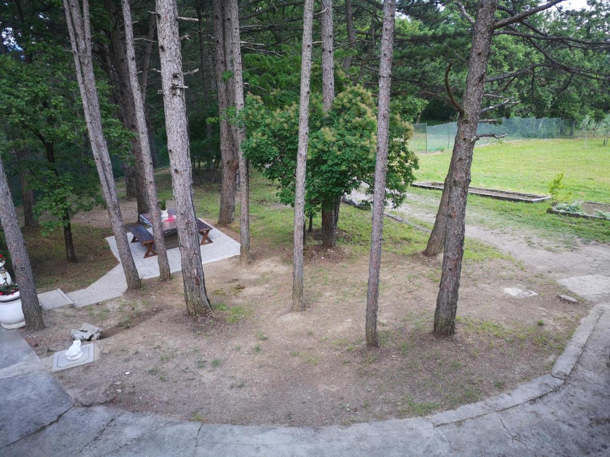 Pineta Villa Gračišče Bagian luar foto