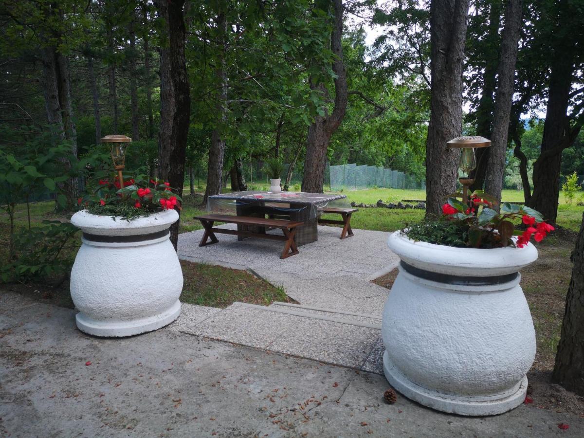 Pineta Villa Gračišče Bagian luar foto
