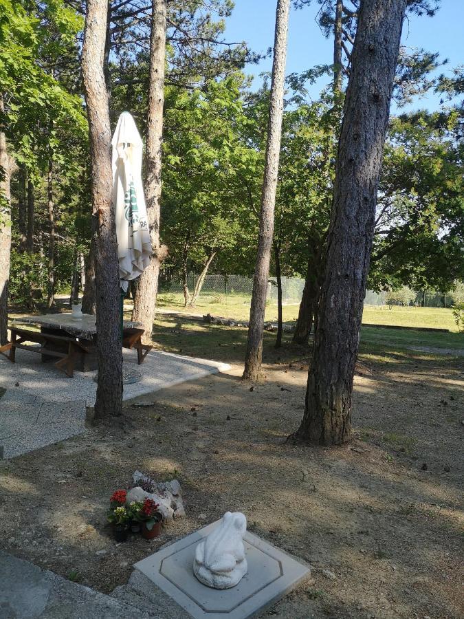Pineta Villa Gračišče Bagian luar foto
